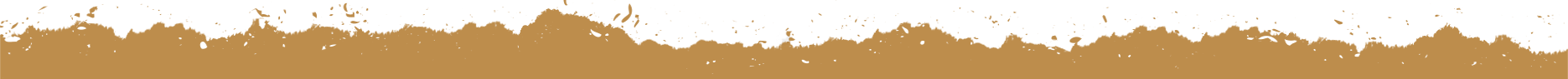 bottom_brown