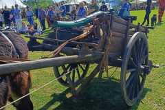 IMG-20260518-WA0003