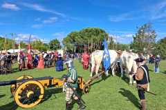 IMG-20260518-WA0005